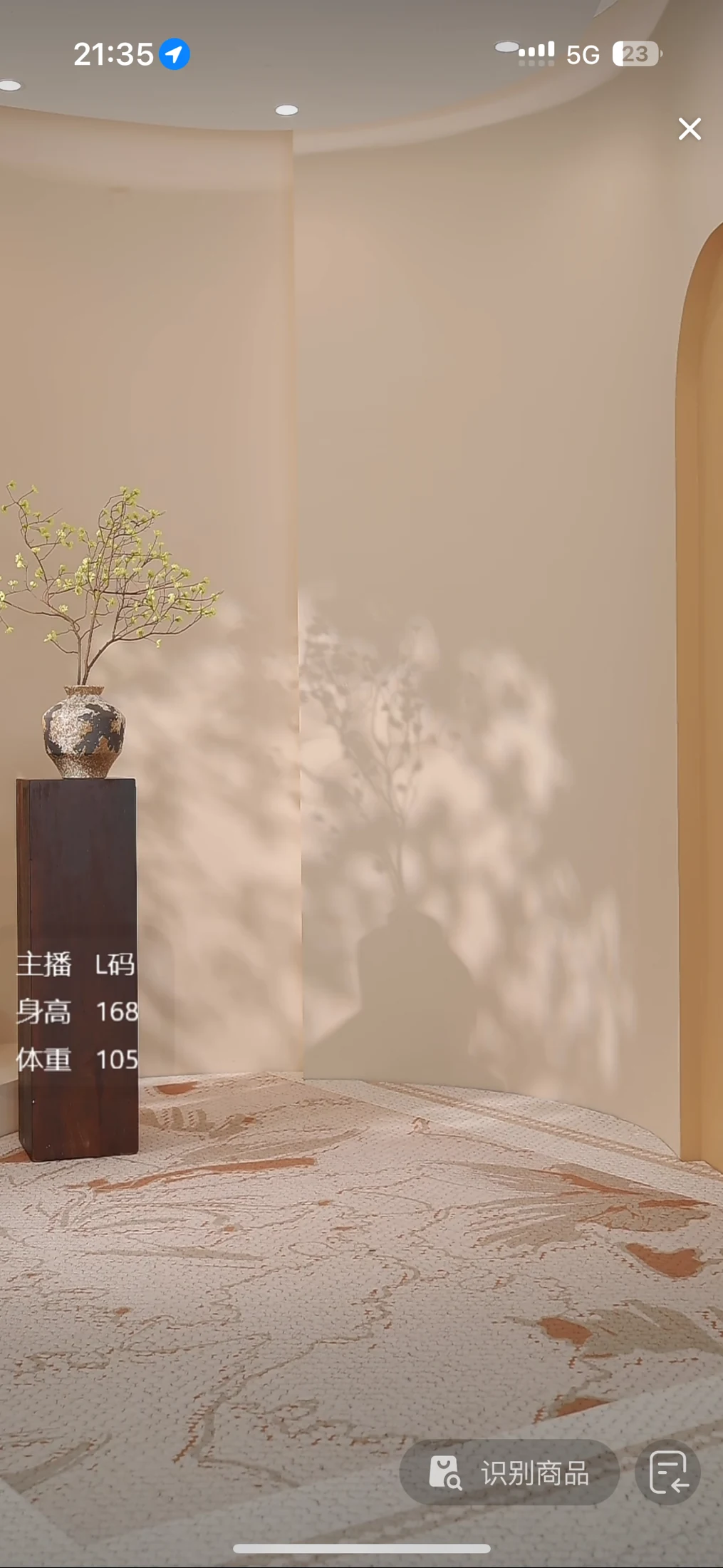 直播场景完整画面 12